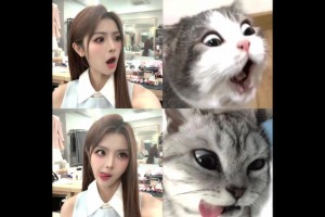 可爱女主持泱泱晒模仿猫咪表情包四连拍~